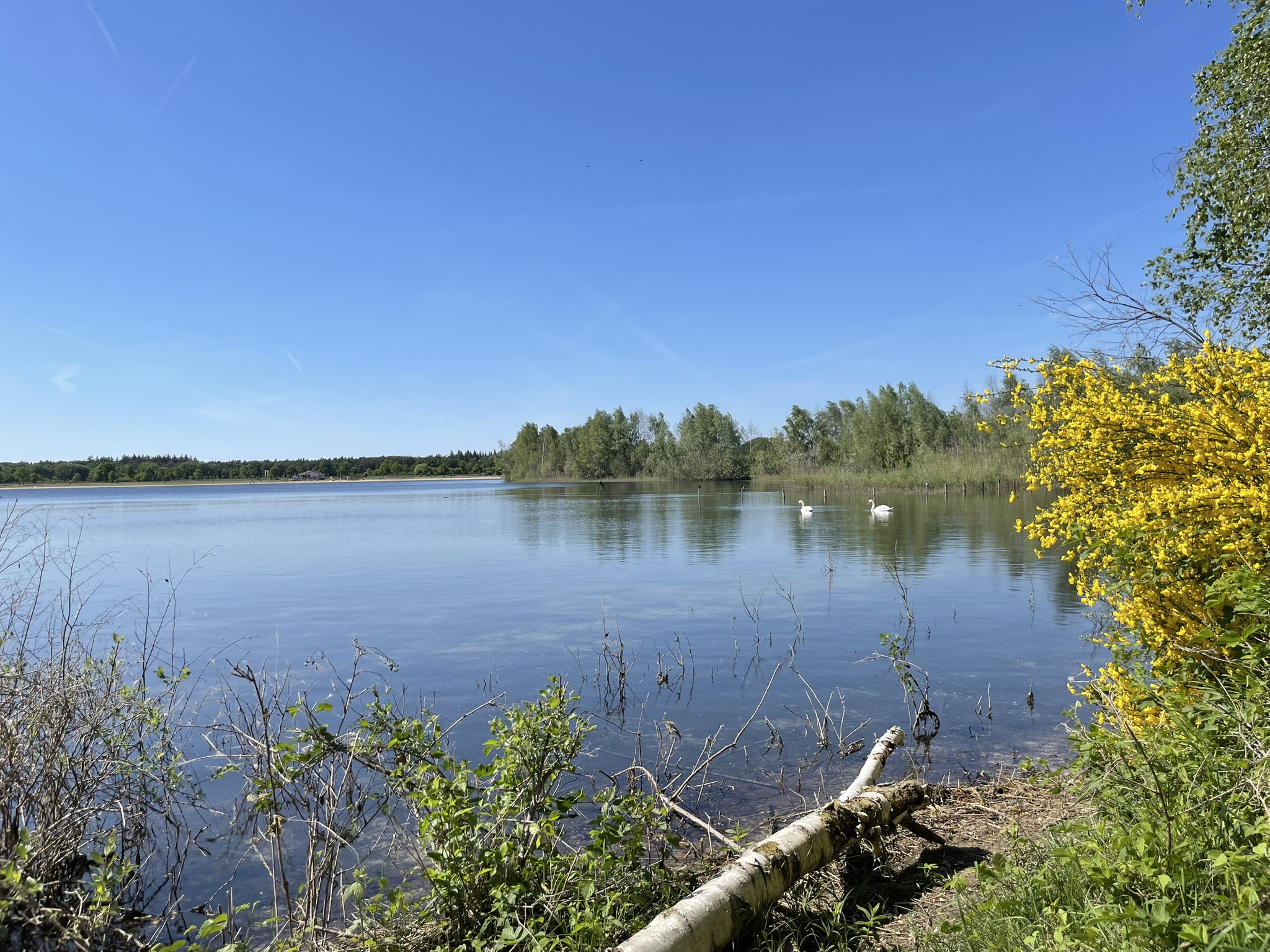 Natuur- en Recreatiegebied De Kuilen Natuur- en Recreatiegebied De Kuilen